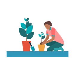 Person tending houseplants