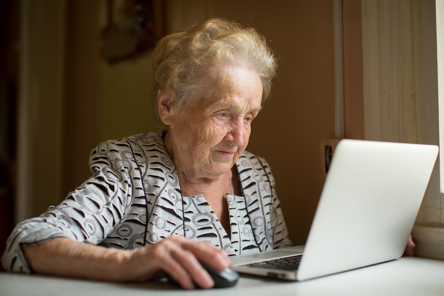 lady at a computer