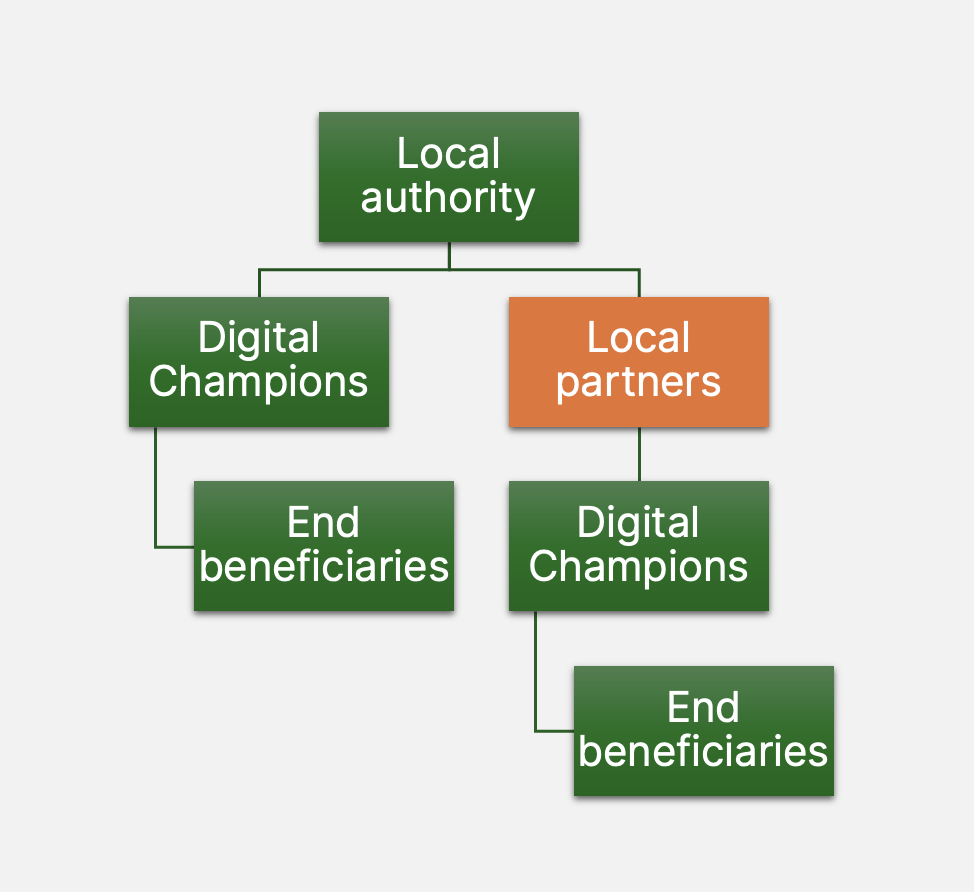 model of a tiered local authority digital champion project