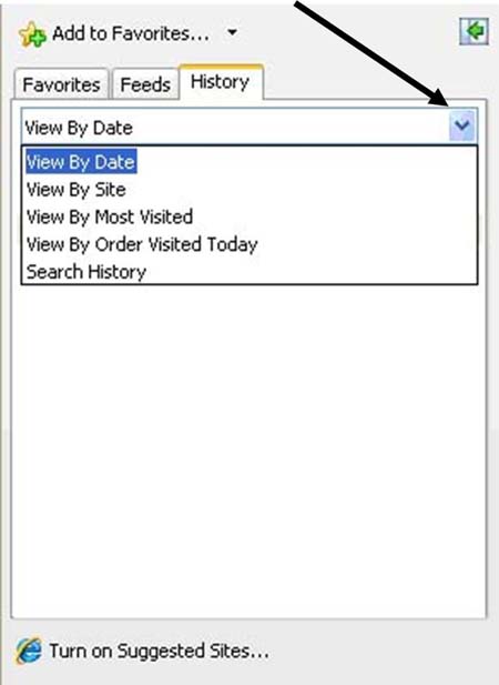 View history by