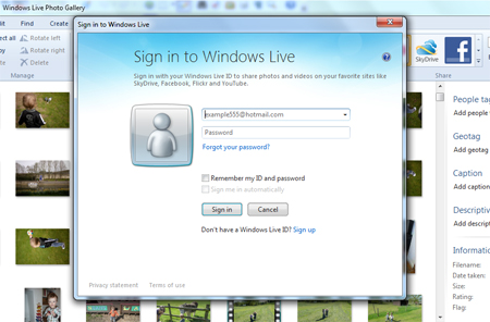 Sign in to windows live