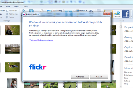 Authorise button
