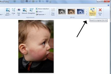 How To Edit Pictures With Windows Live Photo Gallery Digital Unite