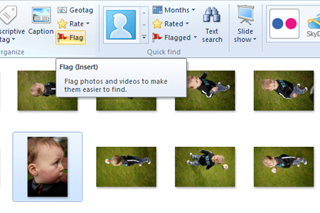 Windows live photo gallery flag