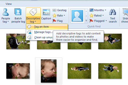 Windows live photo gallery descriptive tag