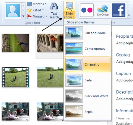Slide show options
