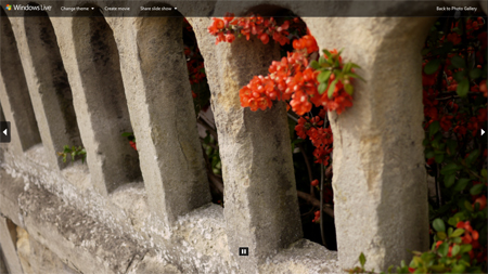 Slide show image