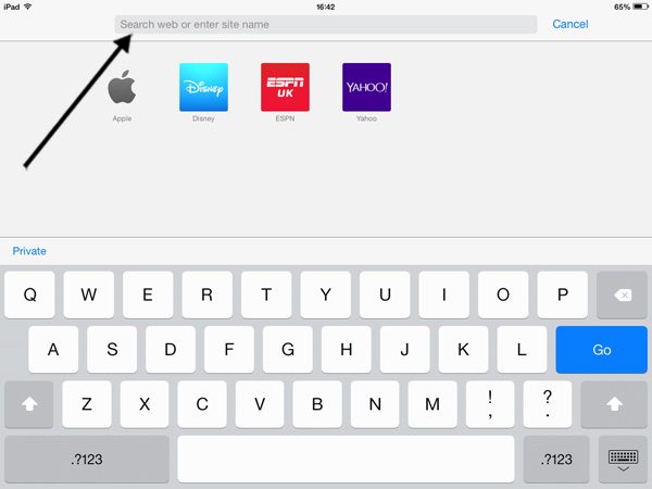 Search bar in Safari on an iPad