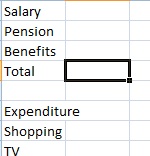 Budget spreadsheet total