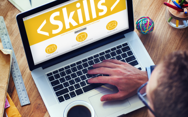 What price for digital skills?